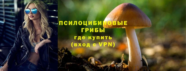 спиды Алзамай